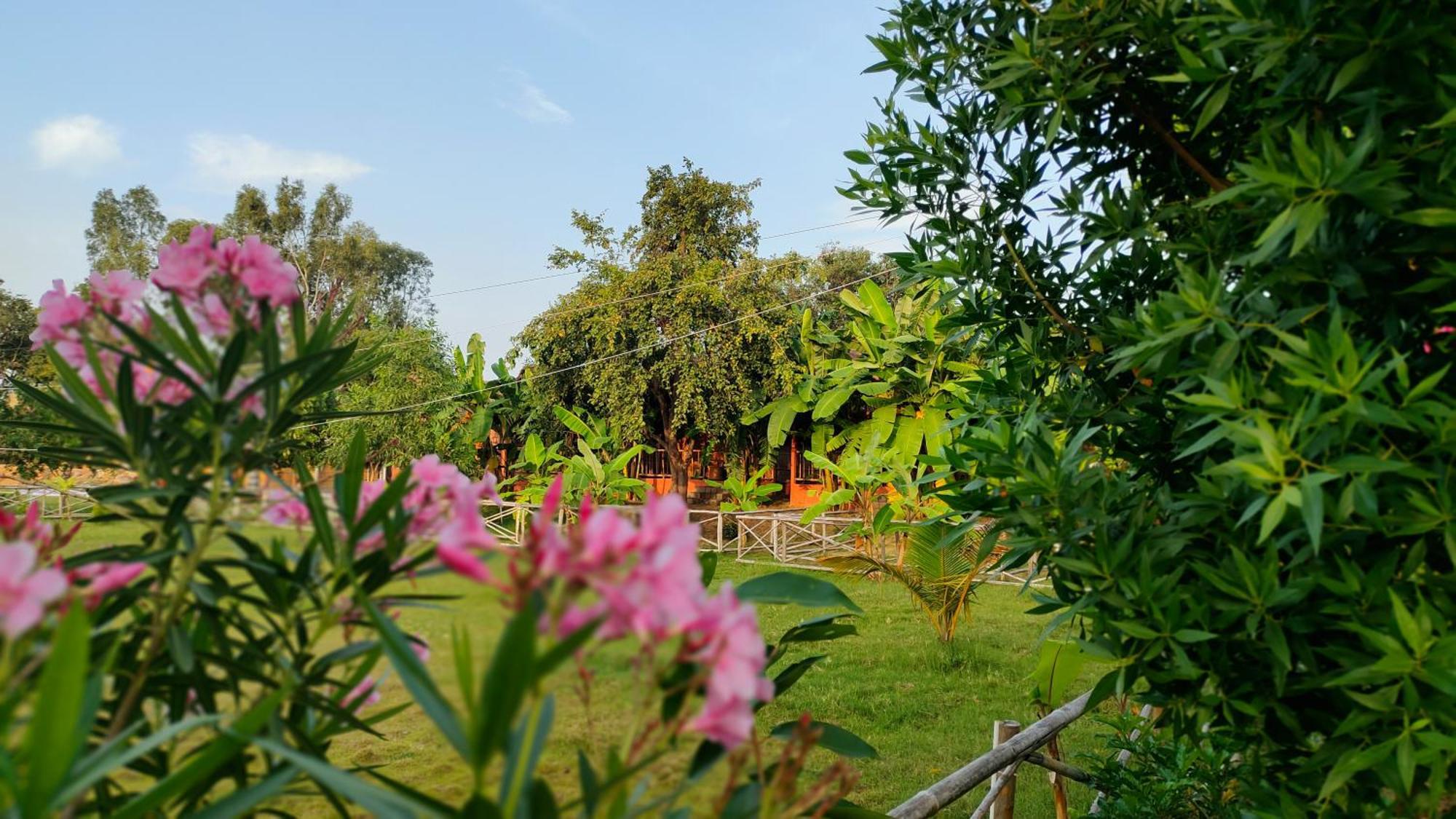 Waterfall Guesthouse Hampi Εξωτερικό φωτογραφία